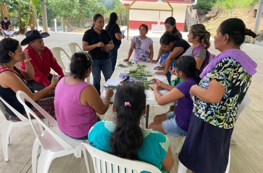  El Estado Fomenta la Medicina Tradicional entre Jóvenes de Pueblos Originarios