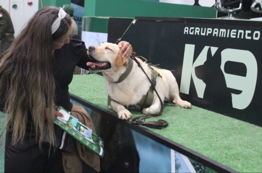  Agrupamiento K9 de la Guardia Civil Estatal participa activamente en labores de proximidad social