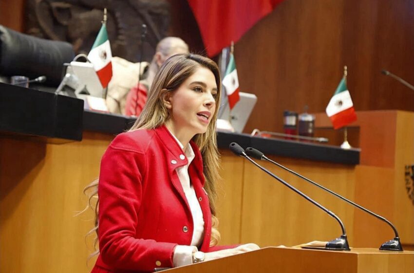  Modelo de Bienestar Social de San Luis Potosí: Un Ejemplo para Todo México, Asegura Senadora Ruth González Silva