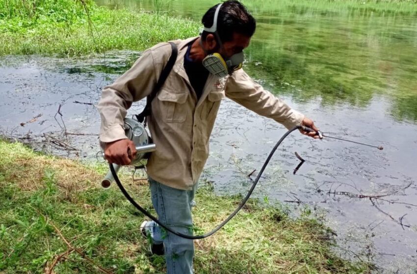  Gobierno Estatal Refuerza Acciones para Combatir el Dengue en San Luis Potosí