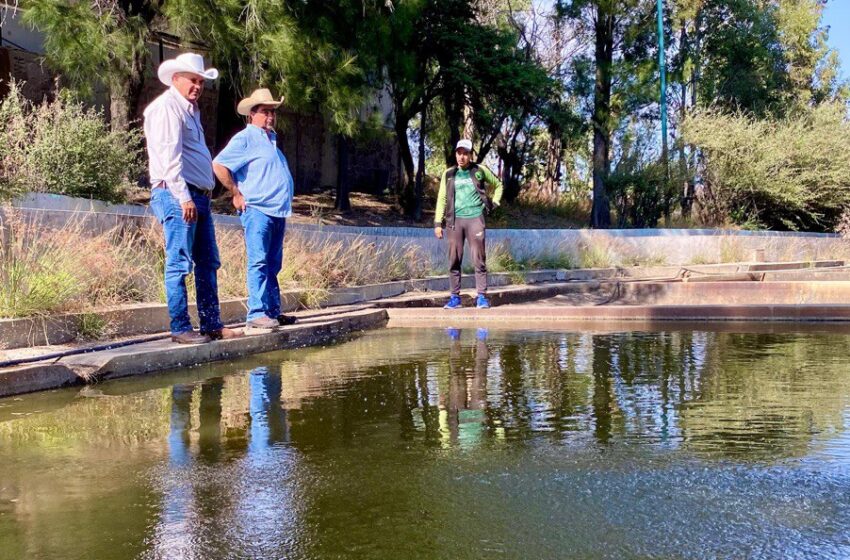  Gobierno Estatal Reactivará el Centro Acuícola El Peaje