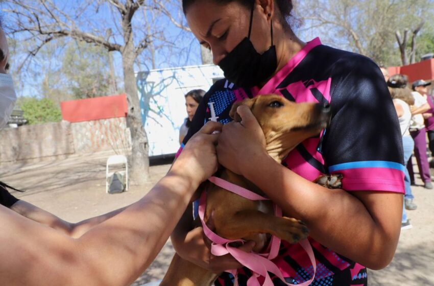  Inicia Campaña Nacional de Vacunación Antirrábica en Centros de Desarrollo Comunitario de San Luis Potosí