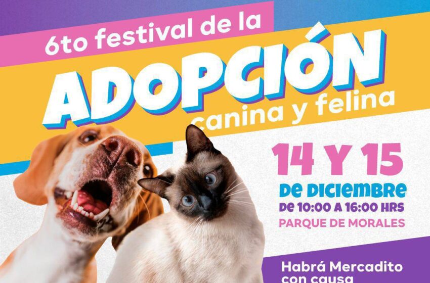  Regidora Maritza Vázquez invita a participar en el 6º Festival de Adopción Canina y Felina