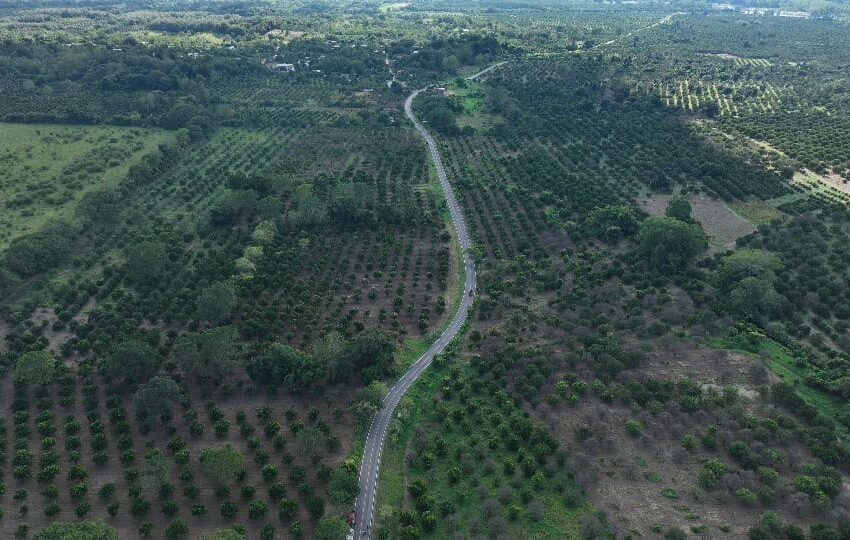  Ricardo Gallardo inaugura camino Las Mesas-El Hulero para mejorar movilidad en Tampacán