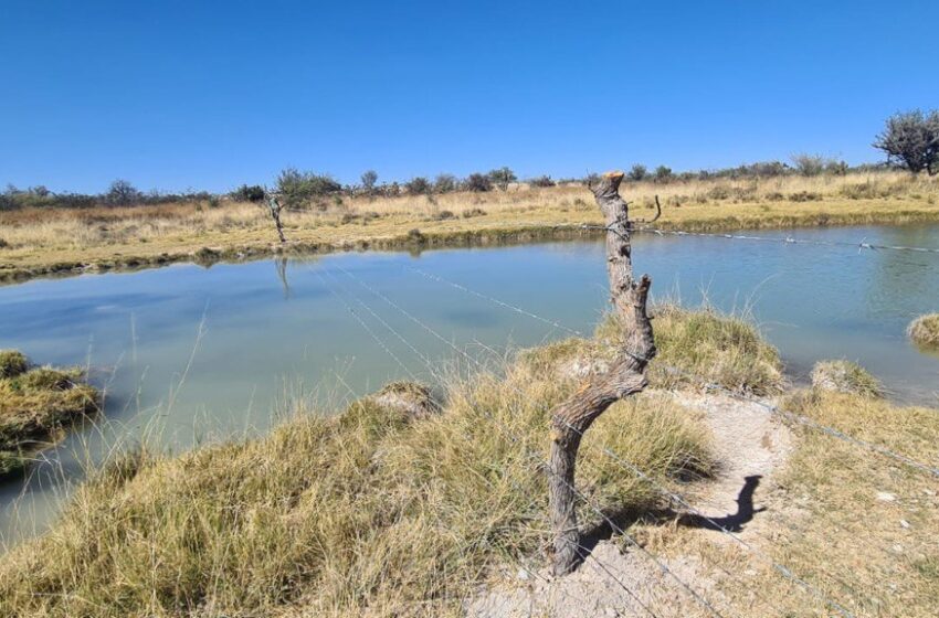  Gobierno Estatal impulsa la preservación ambiental en la región Wixarica