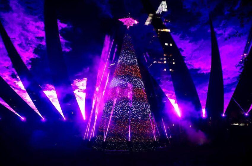  San Pedro invita a disfrutar espectáculo navideño en el Parque Rufino Tamayo