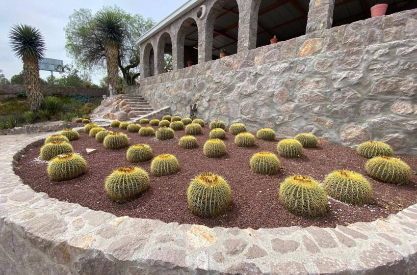  Jardín Botánico “El Izotal” de la UASLP: Promoviendo la Cultura Ambiental y la Botánica Potosina