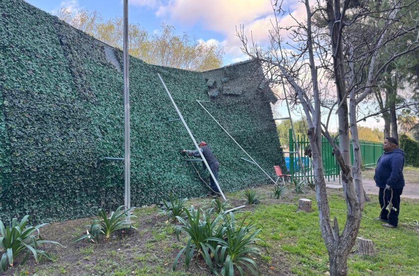  Gobierno Del Estado Atiende Afectaciones En Los Tangamanga Por Fuertes Vientos