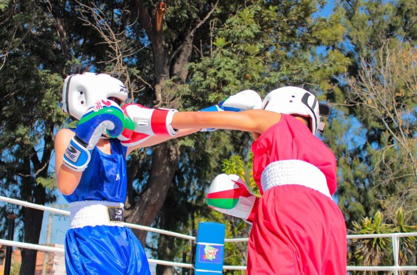  Arranca Gobierno Del Estado, El Torneo De Box De Los Barrios En SLP