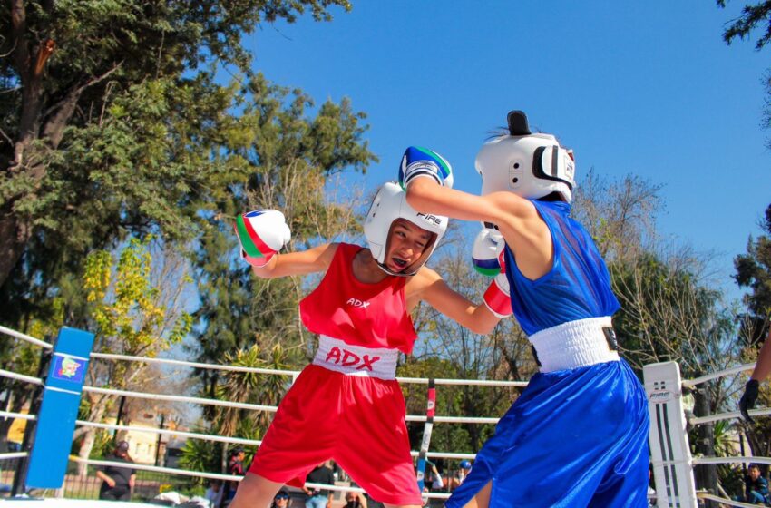  San Miguelito, Sede Del Torneo De Box Organizado Por El Gobierno Estatal