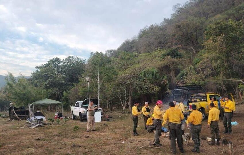  Gobierno Del Estado Capacitará A Combatientes Forestales