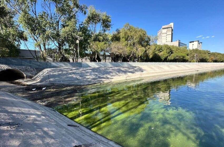  Dependencias Estatales Coordinan Esfuerzos Para Resolver Contaminación Del Lago Mayor